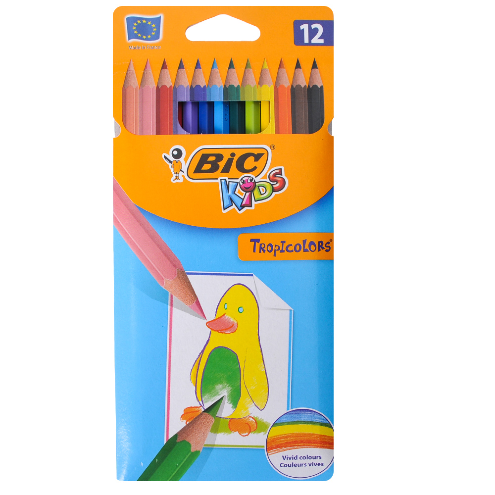 BIC Uzun Kuru Boya Kalemi 12'li | ID5029