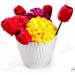 Şenyayla 5443 Desenli Dekoratif Çiçek ve Bitki Saksısı No:3 - 3 Litre | ID2895