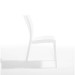 Novussi R009 Sunny Rattan Sandalye Beyaz | ID1224