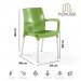 Novussi C009 Castello Koltuk Sandalye Yeşil | ID6245